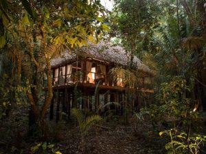 Luxury rainforest lodge surrounded by the Peruvian Amazon