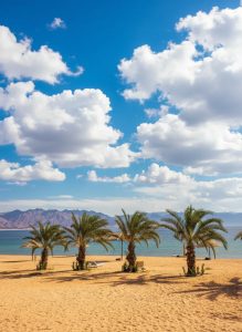 Palm lined beach overlooking the Red Sea in Aqaba, Jordan