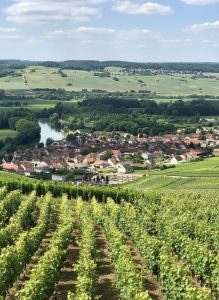 Rolling vineyards surrounding villages in the Champagne wine region of France