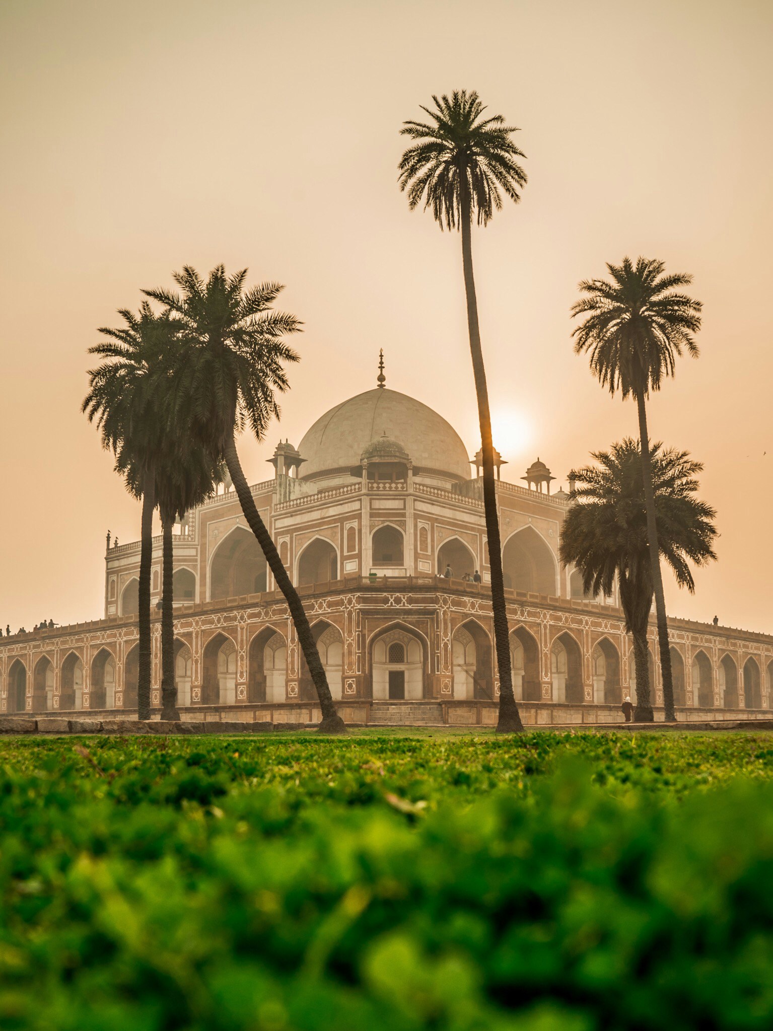 Historic Mughal architecture framed by palm trees at sunrise in India