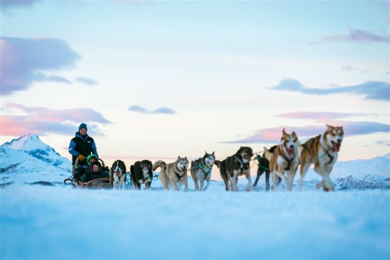 Husky sled team crossing snowy Arctic landscape in Norway