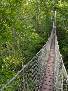 Visitor crossing the Inkaterra Canopy Walkway suspended above the Peruvian Amazon rainforest.