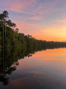 Sunrise reflected on the calm waters of Lake Sandoval in the Peruvian Amazon rainforest.