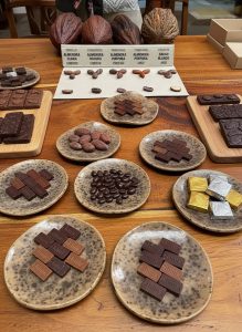 Artisan Mexican chocolate tasting featuring cacao beans, chocolate varieties and handcrafted chocolates.
