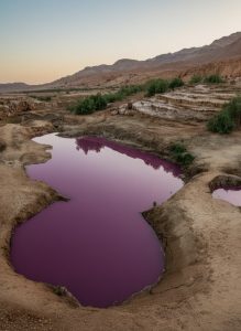 Pink mineral rich salt pools near the Dead Sea in Jordan surrounded by desert landscape at sunset.