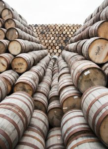 Rows of oak whisky casks stacked for maturation at a Scottish distillery.